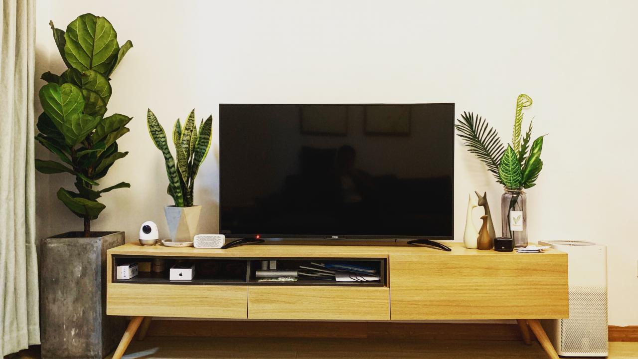 televizyon tv